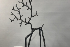 deer-rotated