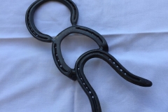 horseshoes
